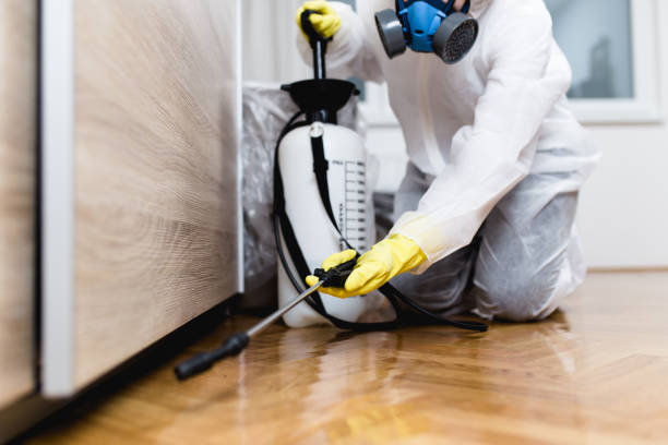 Best Pest Inspection Near Me  in Oak Grove Heights, AR