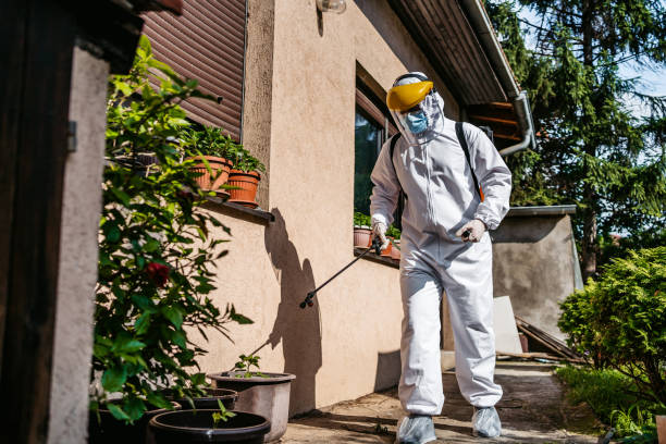 Best Wasp Removal Services  in Oak Grove Heights, AR