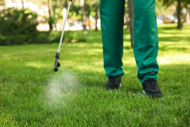 Best Affordable Pest Control Services  in Oak Grove Heights, AR