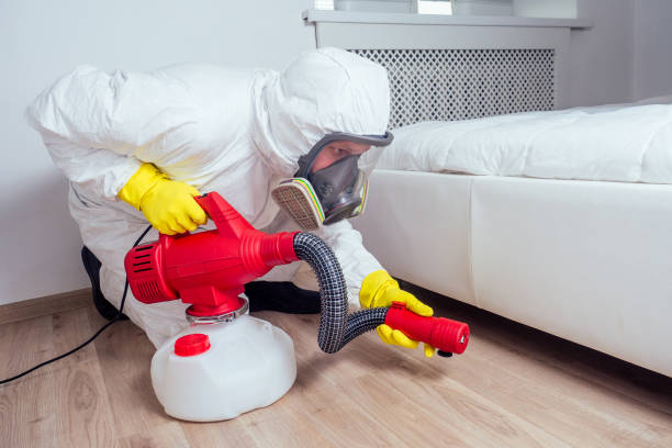Best Affordable Pest Control Services  in Oak Grove Heights, AR