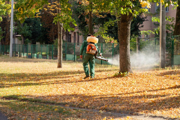 Best Pest Prevention Services  in Oak Grove Heights, AR