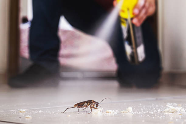 Best Emergency Pest Control  in Oak Grove Heights, AR