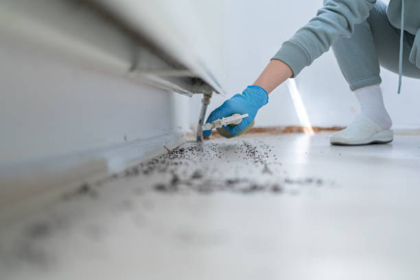 Best Best Pest Control Companies  in Oak Grove Heights, AR