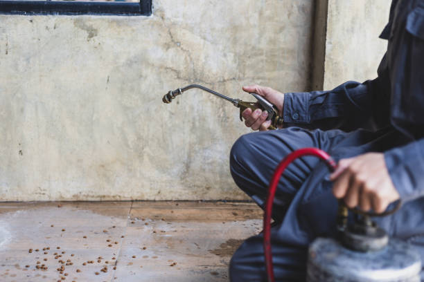 Best Termite Control Services  in Oak Grove Heights, AR